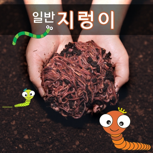 생미끼 지렁이 낚시미끼 학습용 실습용