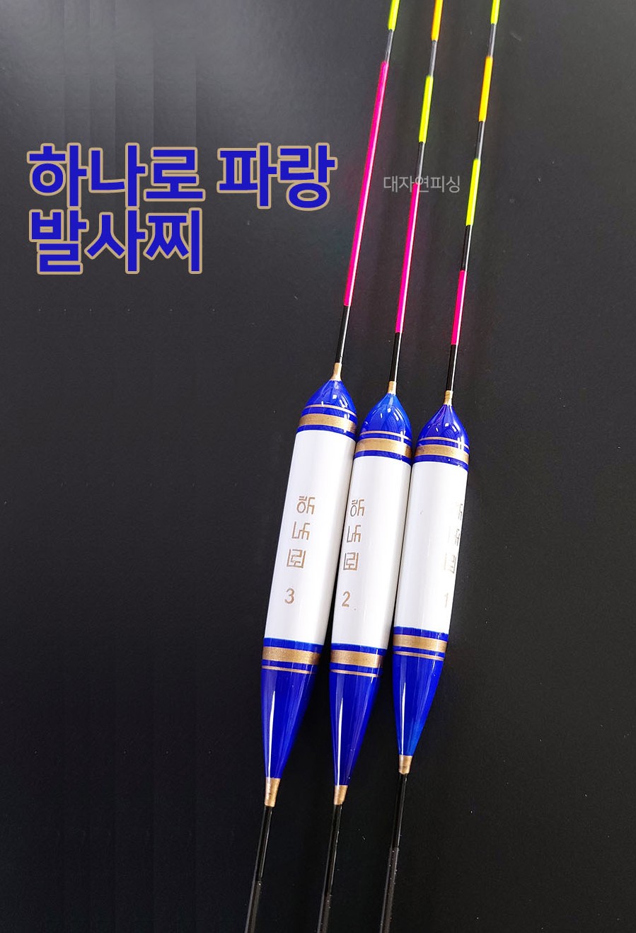 대자연 하나로 파랑 발사찌 대물찌